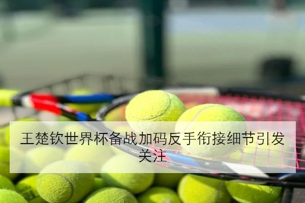 王楚钦世界杯备战加码反手衔接细节引发关注